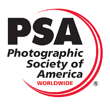 PSA Logo